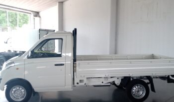 
									ZANELLA Z-TRUCKS C/S full								